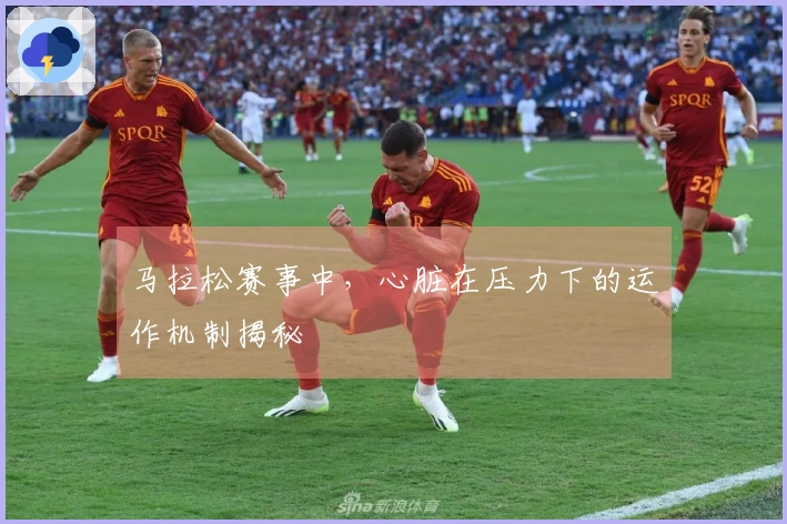 马拉松赛事中，心脏在压力下的运作机制揭秘