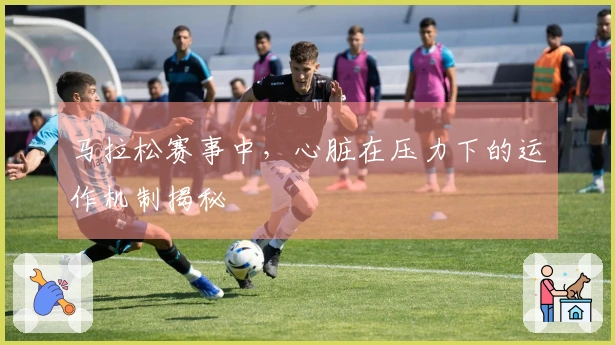 马拉松赛事中，心脏在压力下的运作机制揭秘